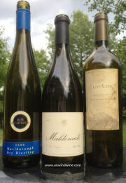 Wine flight - whites - Crawford Reisling, Maldonado chardonnay, Lede Sauvignon Blanc