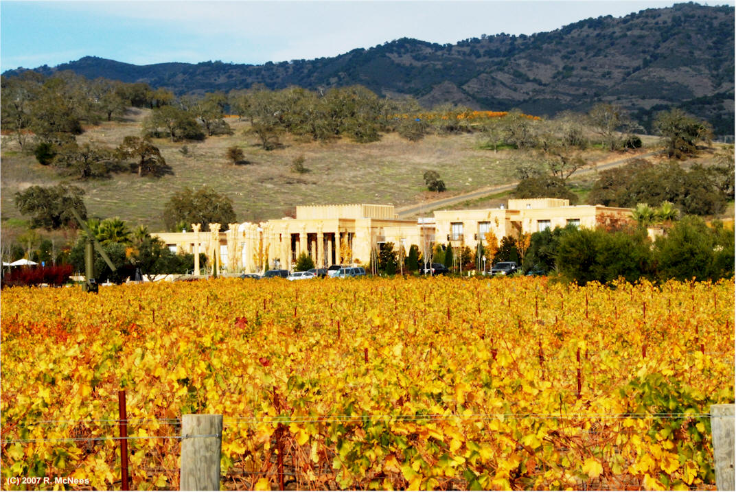 Napa Wine Experience 2007 Spring Mountain