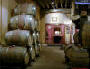 Napa Valley 2003 - Other Tastings and Tours