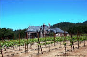 Ledson Winery & Vineyards - Sonoma Chateau 