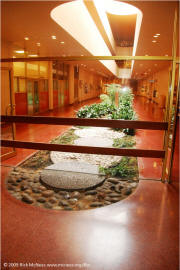 Frank Lloyd Wright's Marin Civic Center - garden - window