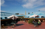 Frank Lloyd Wright's Marin Civic Center - South hillside terrace