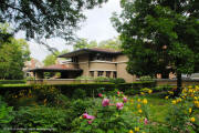 FLW Arch - Meyer May House - Grand Rapids