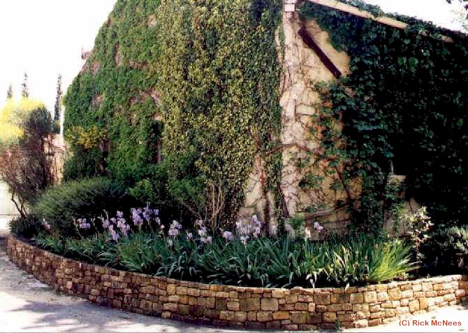 wpe35.jpg (61563 bytes)