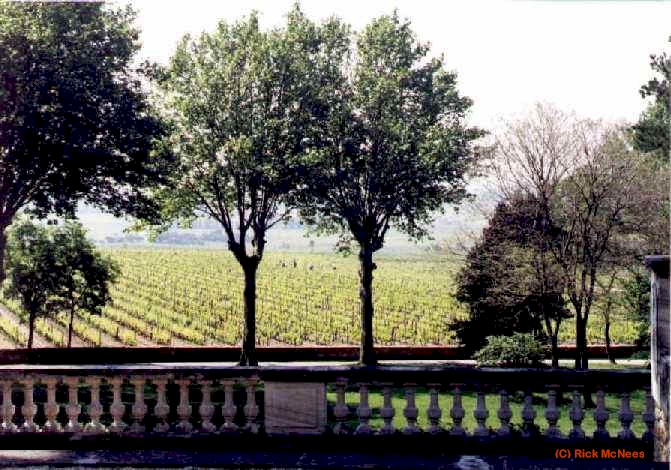 wpe36.jpg (59501 bytes)