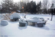 Patio - 02 Feb 2011 