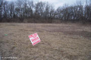 Election sign abuse - Woodridge Mayor candidate Vandor on Forest Preserve Land