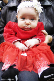 L2 - 2011 Feb