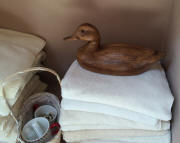 Duck  Mystery 2014-0616
