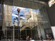 Rose sculpture - MOMA NYC