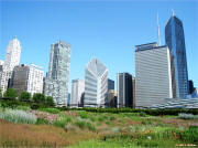 Chicago Millenium Park Fleurie Garden on McNees.org