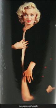Marilyn Merlot 1999