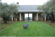 Constant Diamond Mtn Main House