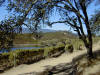 Quintessa Vineyards