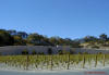 Quintessa Winery 