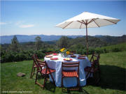 Robert Craig Howell Mountain Napa Valley Winery Lawn