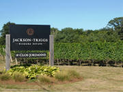 Jackson Triggs Niagara Estate Signpost