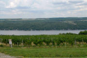 Dr Konstantin Frank Vineyards