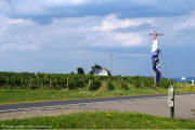 Keuka Lake Vineyards