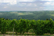 Keuka Lake Vineyards