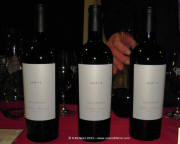 Louis Martini Lot 1 Napa Valley Cabernet Sauvignon 2010