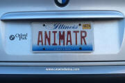 Win-Pl8-Not ANIMATR - Illinois