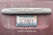 Wine Pl8 - SCAMPY - Illinois ... in Winter