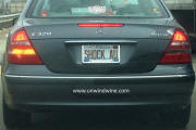 Wine Pl8 - SHOCK AU - Illinois