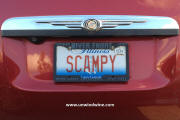 Wine Pl8 - SCAMPY - Illinois